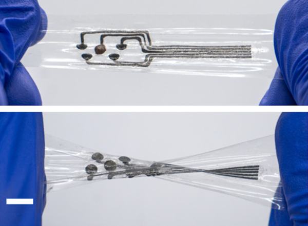 Caltech Luncurkan Sensor Biomedis yang Bisa Diregang dan Menempel di Organ