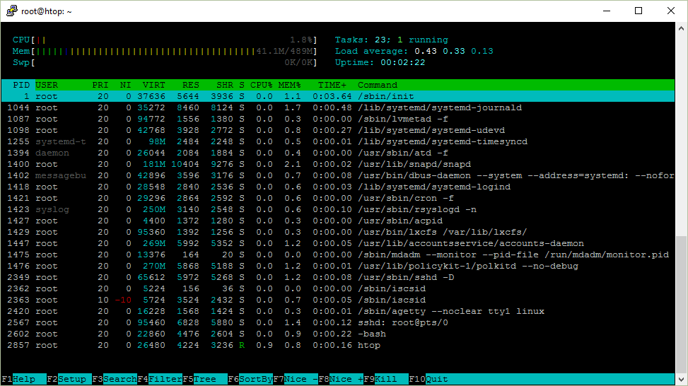Panduan Lengkap Memahami htop dan top Linux untuk Developer