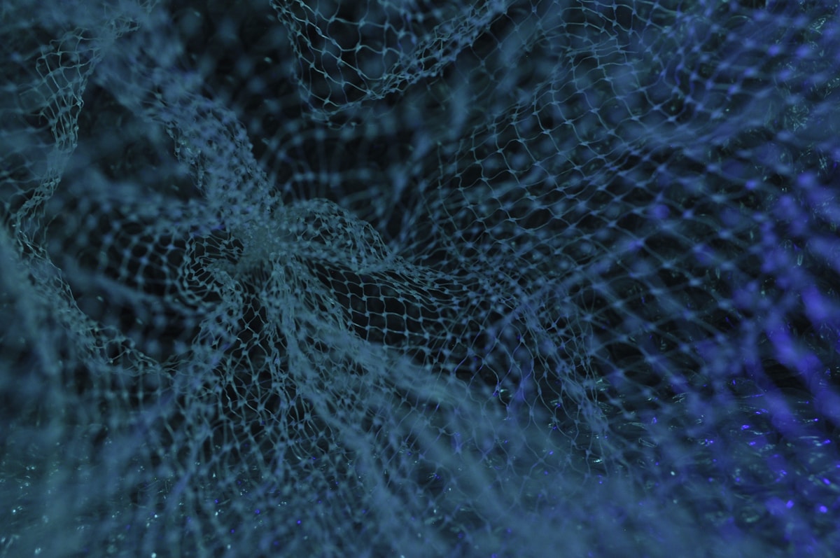 Tutorial Setup Meshtastic: Bangun Mesh Network Offline